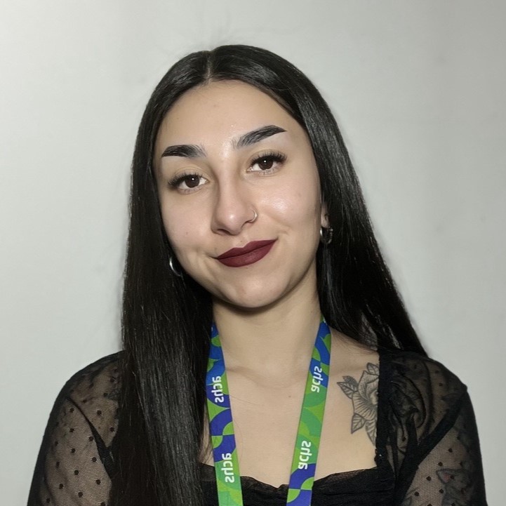 Perfil