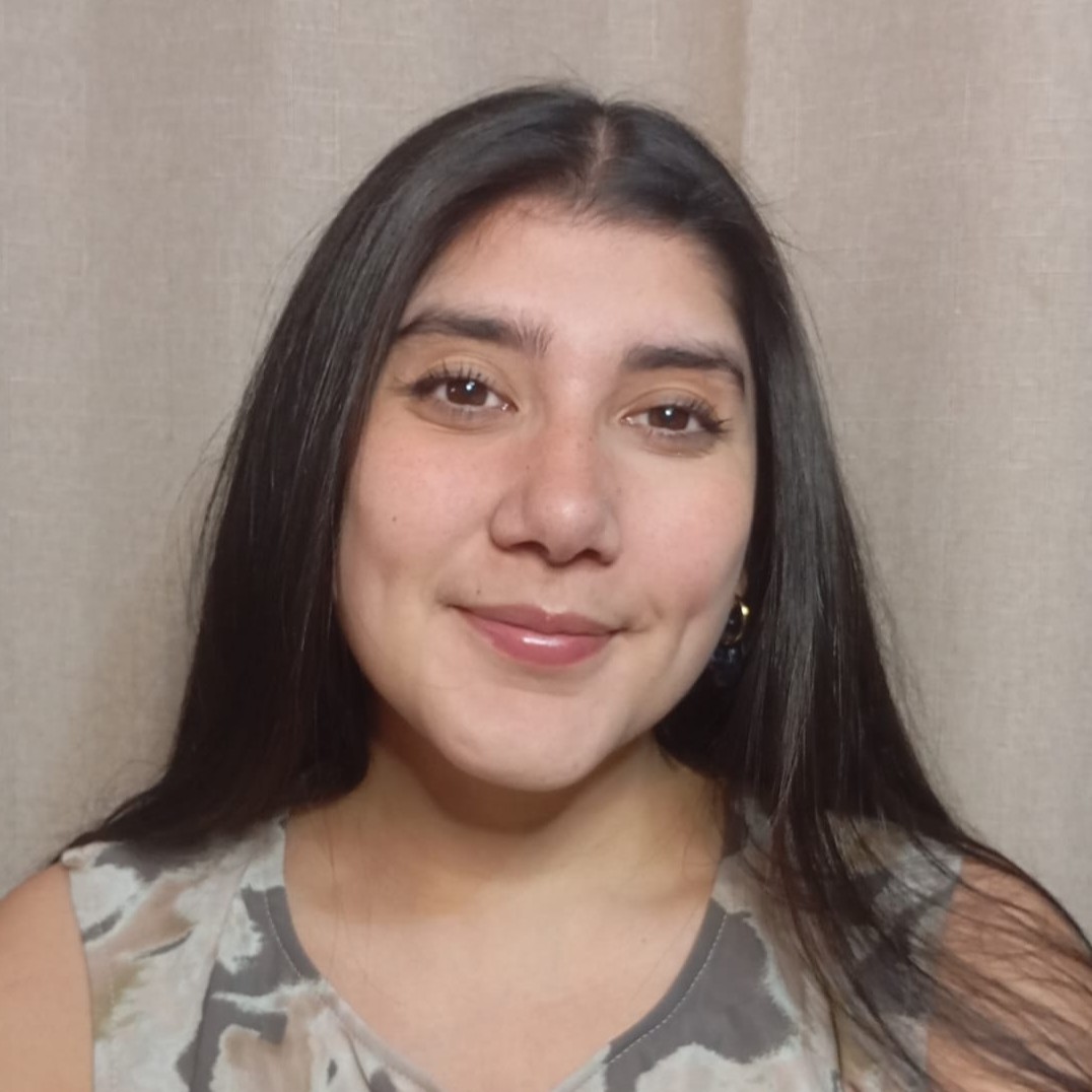 Perfil