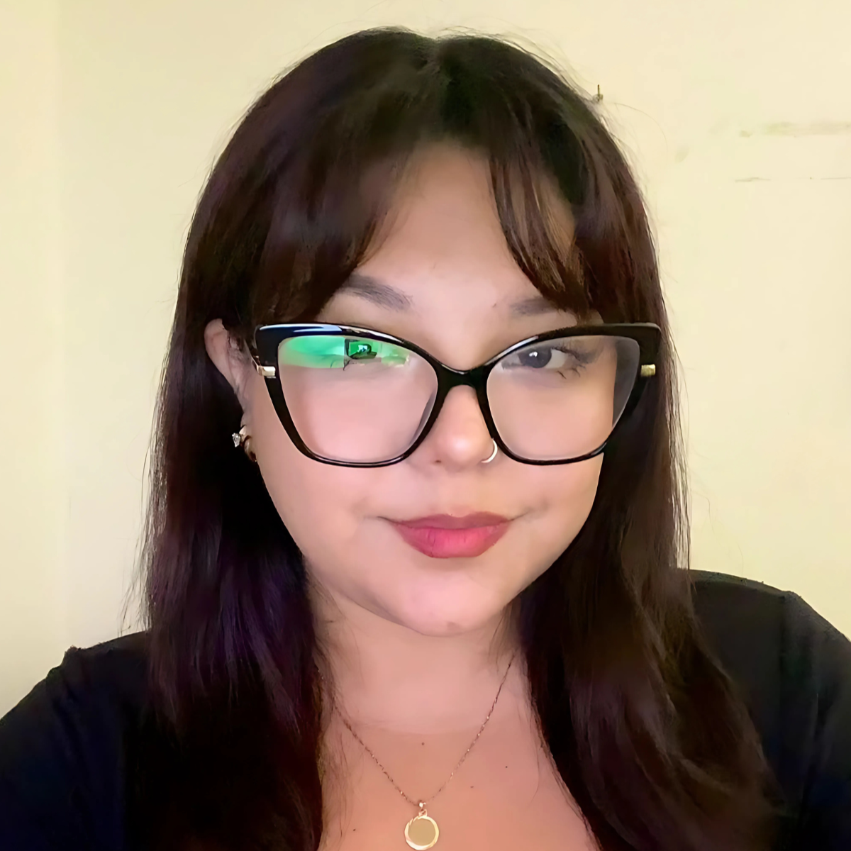 Perfil