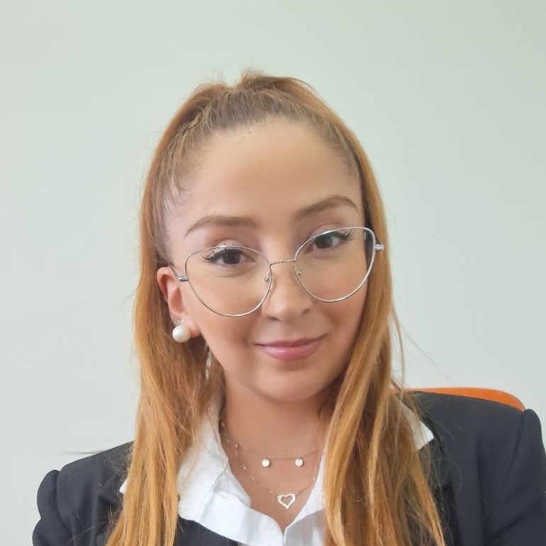 Perfil