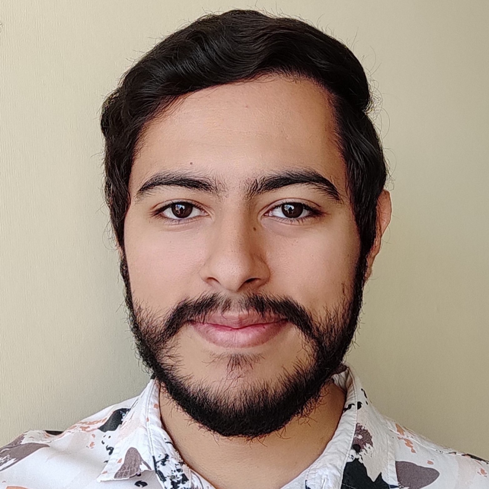 Perfil