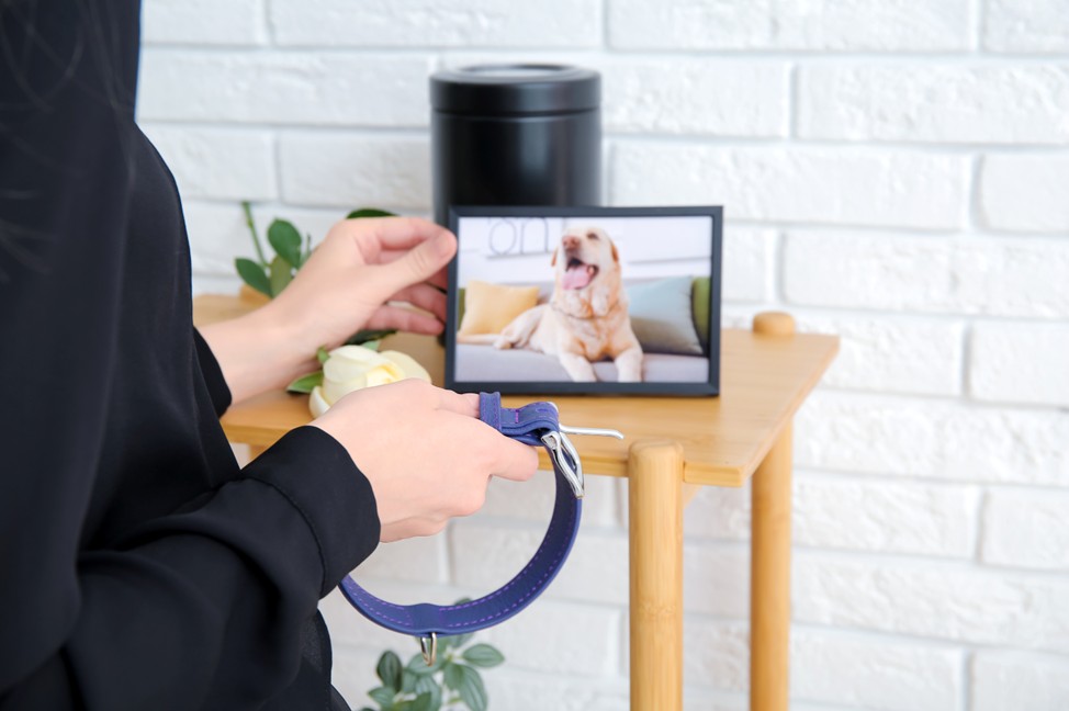 Huellas en el corazón: entendiendo el duelo animal